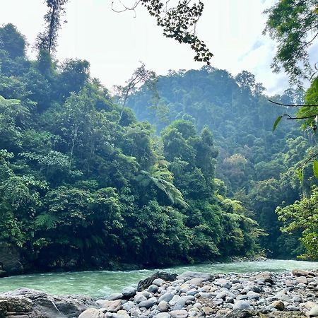 Charlys Little House Bukit Lawang Exterior foto