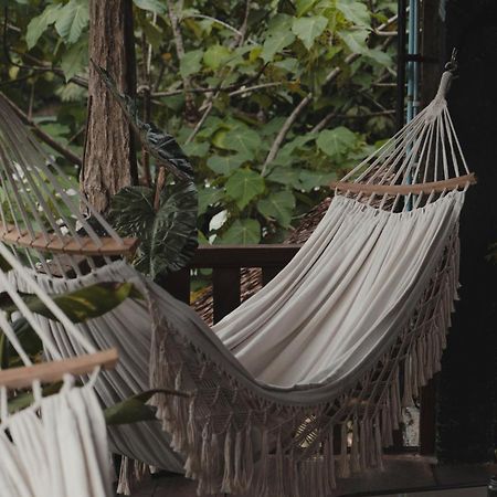 Charlys Little House Bukit Lawang Exterior foto