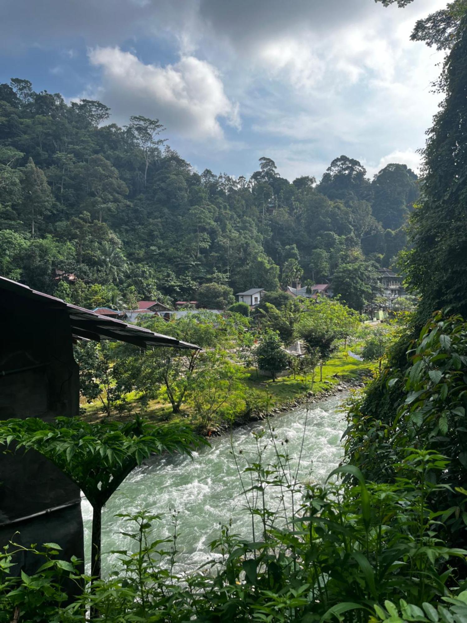 Charlys Little House Bukit Lawang Exterior foto