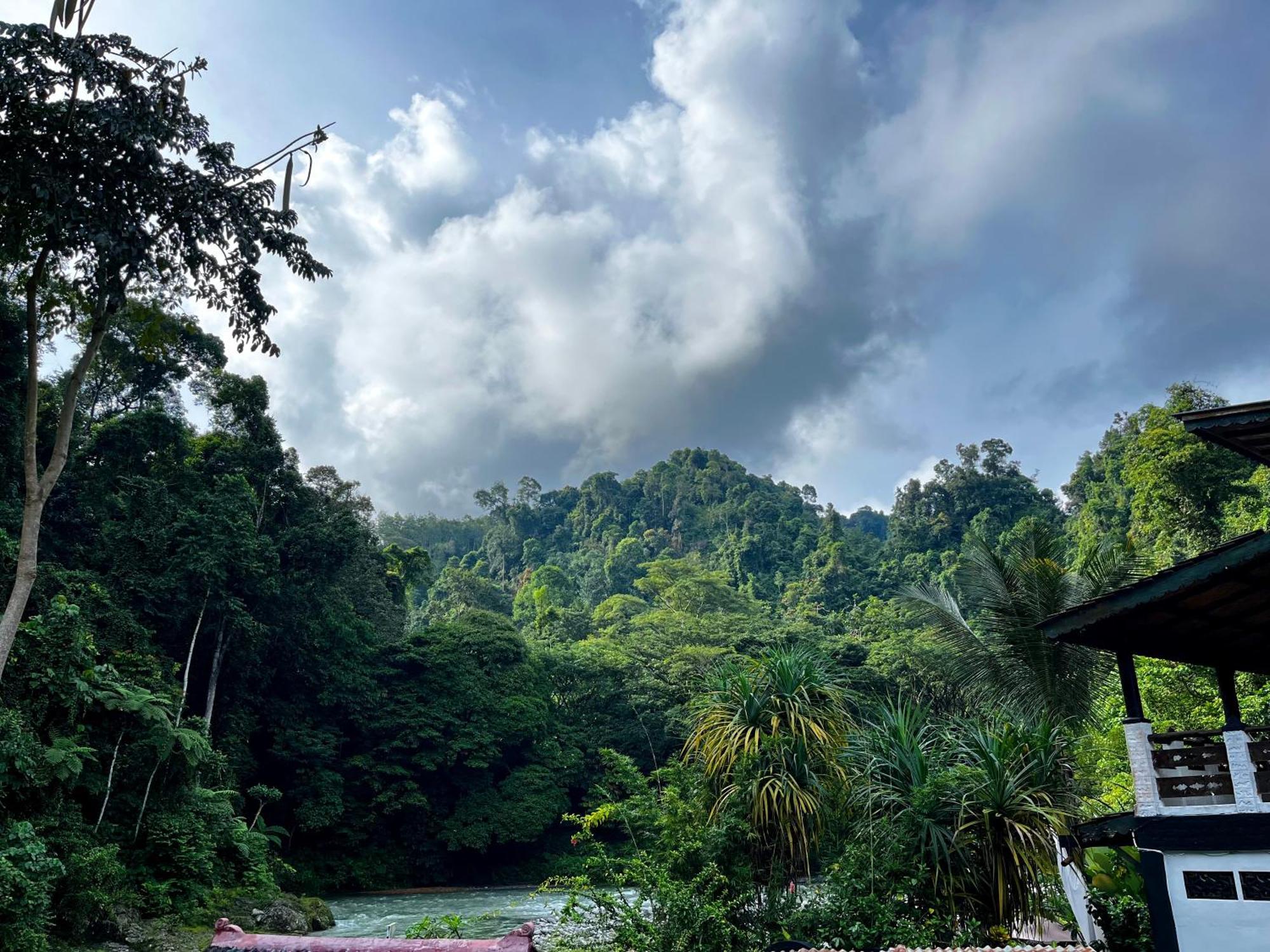 Charlys Little House Bukit Lawang Exterior foto