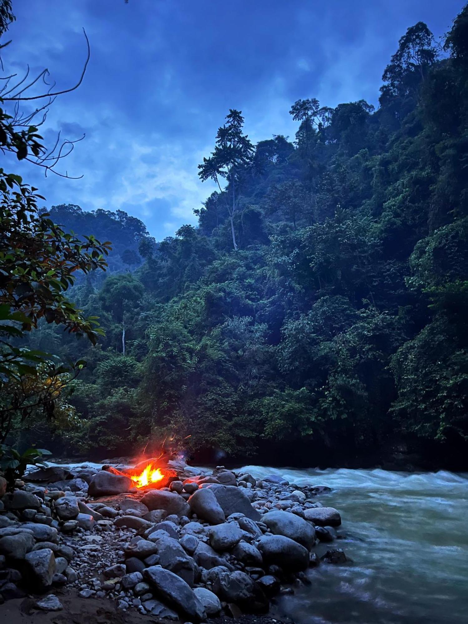 Charlys Little House Bukit Lawang Exterior foto