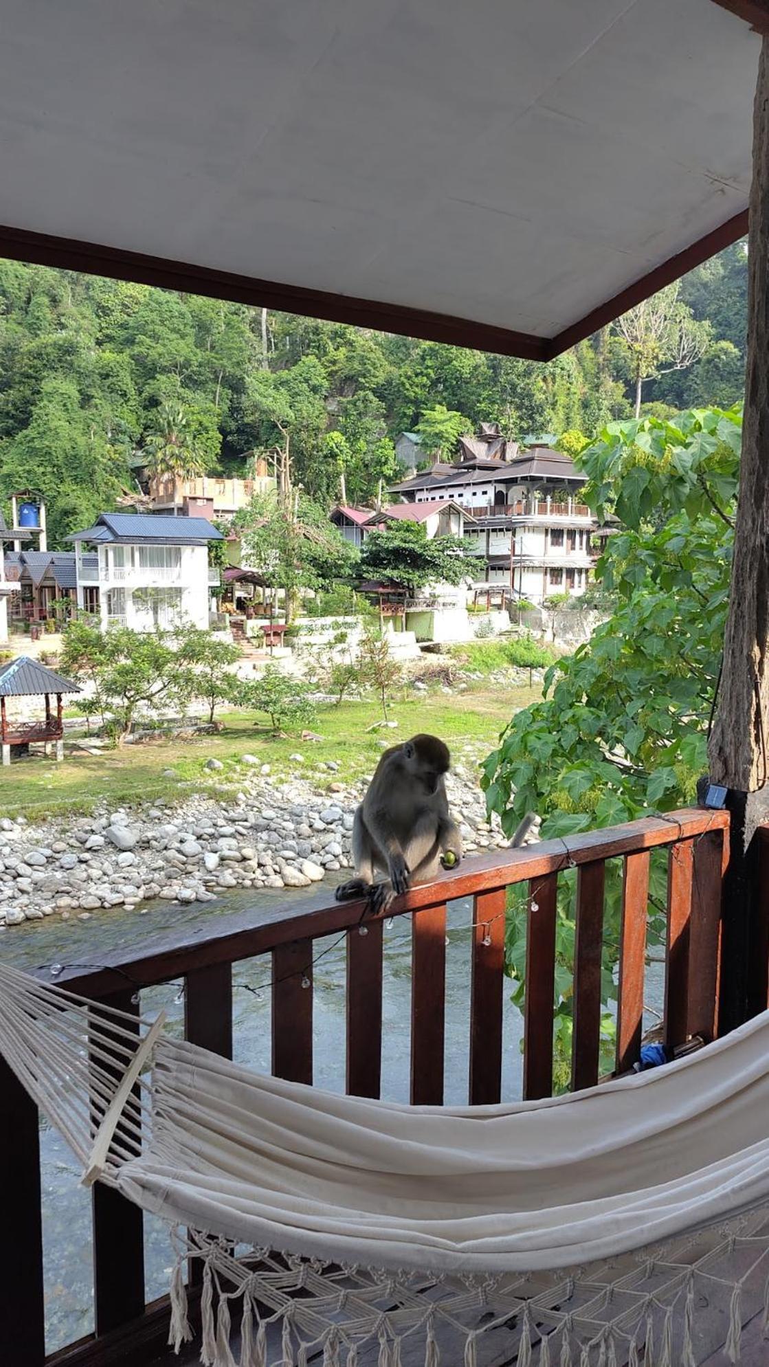 Charlys Little House Bukit Lawang Exterior foto